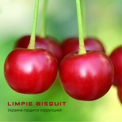 Украина гордится коррупцией