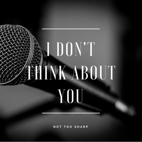 I Don't Think About You