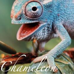 Chameleon