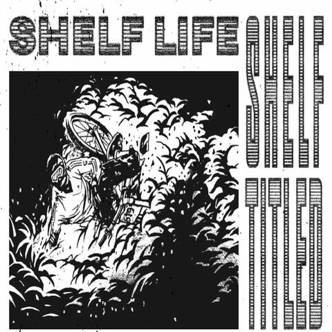 Shelf Titled