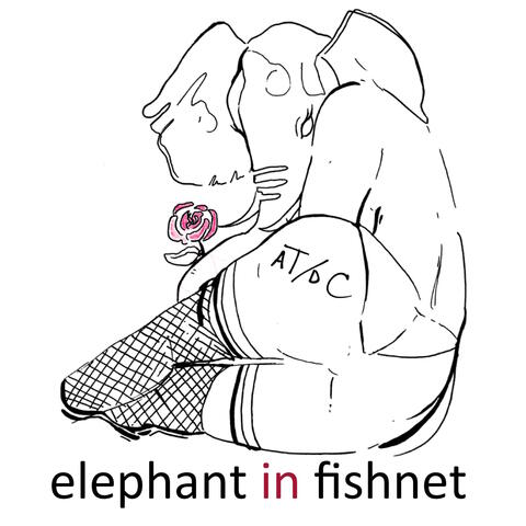 Elephant in Fishnet