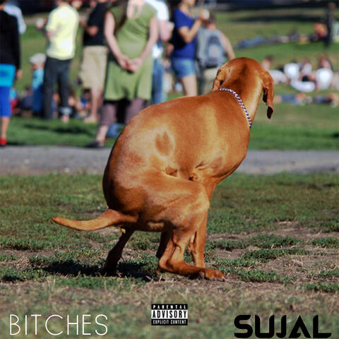 Bitches