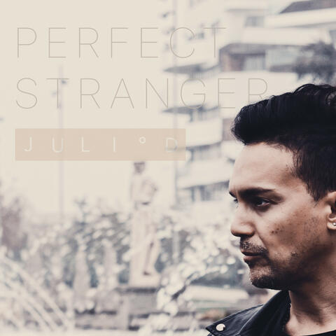Perfect Stranger