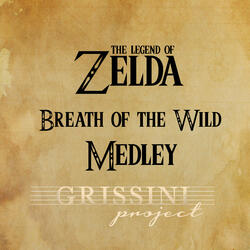 Medley Zelda Breath of the Wild: Main Theme / On Horse / Rito Village / Hyrule Castle / Beast Ganon