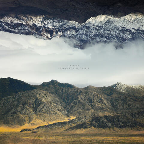 Formas de vida y nieve