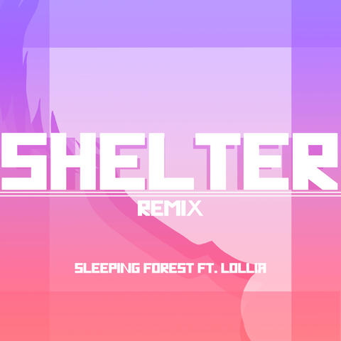 Shelter
