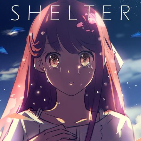 Shelter