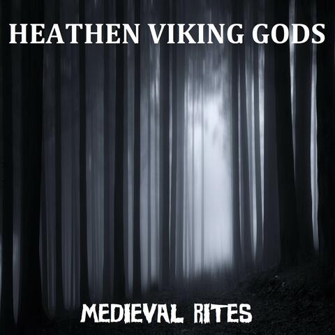 Heathen Viking Gods