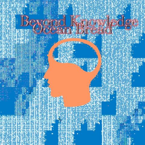 Beyond Knowledge