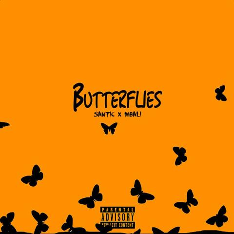Butterflies