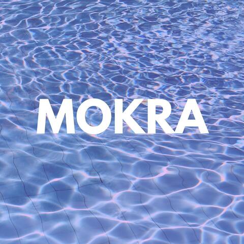 Mokra