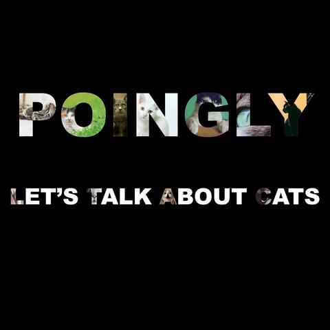 Let's Talk About Cats