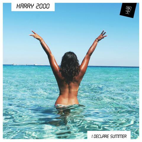 I Declare Summer