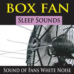 Ceiling Fan with Cricket White Noise