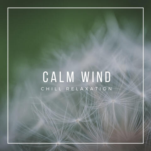 Chill Relaxation - Calm Wind