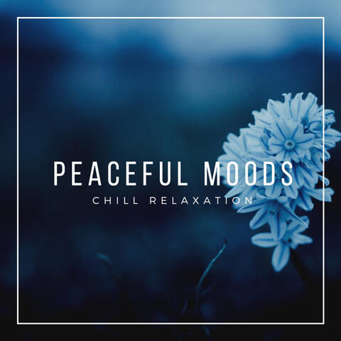 Chill Relaxation - Peaceful Moods