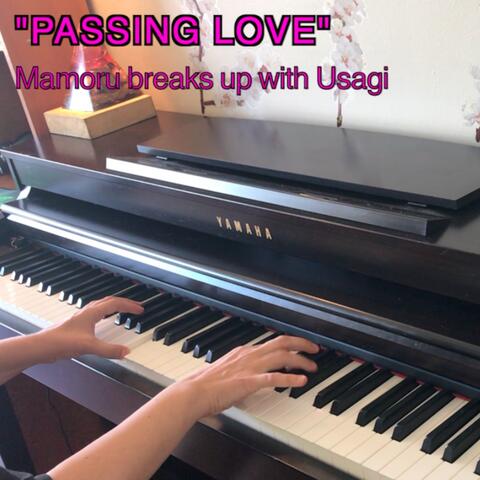 "Passing Love" (From "Sailor Moon R") [Mamoru Breaks up with Usagi]