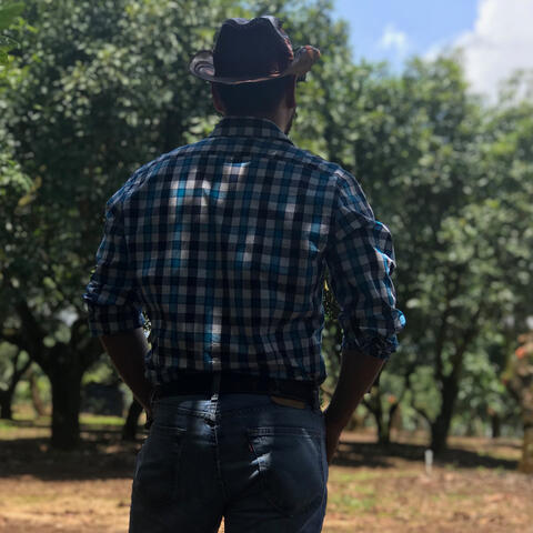El Michoacano