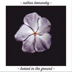 Buried in the Ground