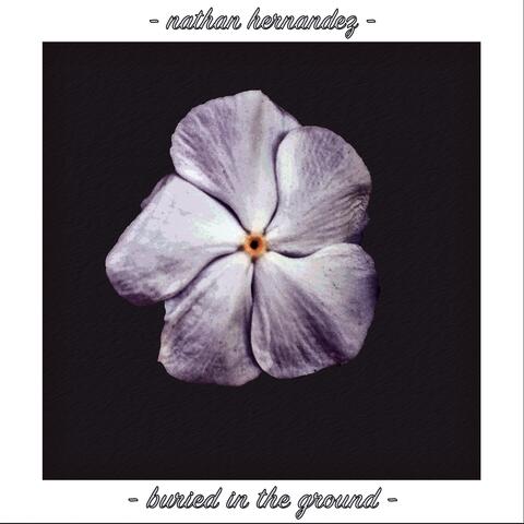 Buried in the Ground