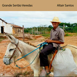 Grande Sertão Veredas