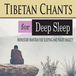 Ambient Monks (for Deep Sleep)