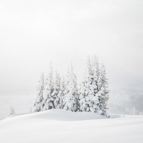 In the Bleak Midwinter