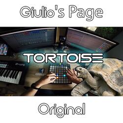 Tortoise (Live Launchpad Mix)