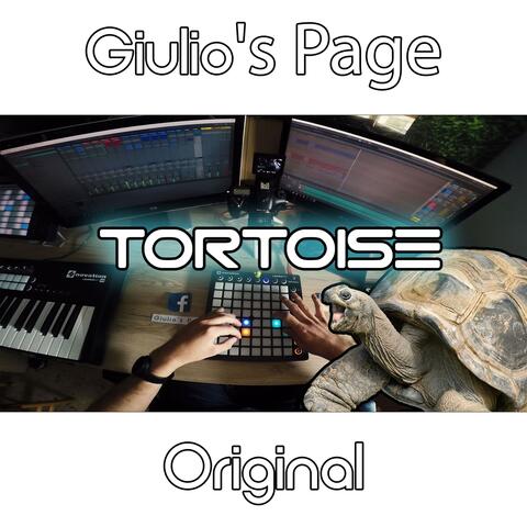 Tortoise