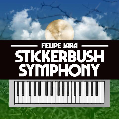 Stickerbush Symphony (From "Donkey Kong Country 2")
