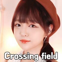 Crossing Field (Sword Art Online OP)