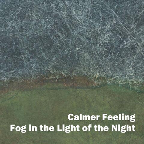 Fog in the Light of the Night