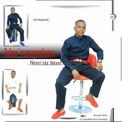 Never Say Never (Instr)