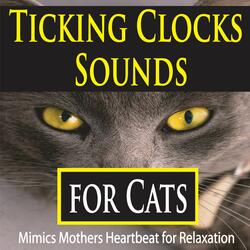 Clock Ticking for Kittens (Mimics Mothers Heartbeat)