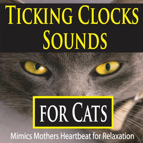 Ticking Clock Sounds for Cats (Mimics Mothers Heartbeat for Relaxation)