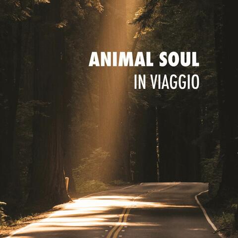 In viaggio