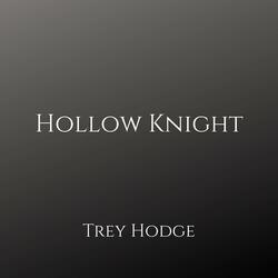 Hollow Knight