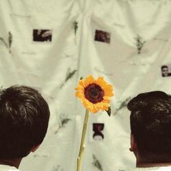 Love Again