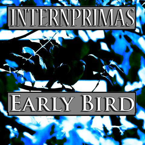 Early Bird