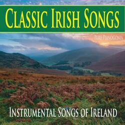 Tin Whistle Dance at "The Blarney Stone"