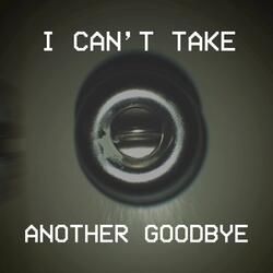 I Can't Take Another Goodbye