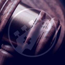 Objection! (From "Phoenix Wright: Ace Attorney")