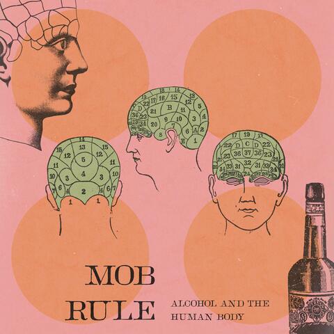Alcohol And The Human Body