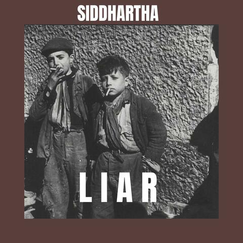 Liar