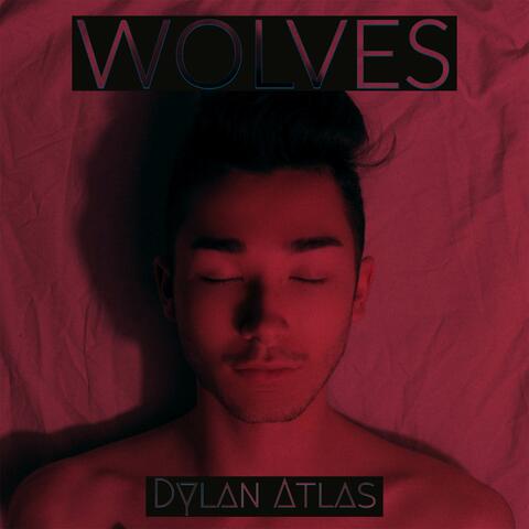 Wolves