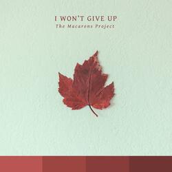 I Won't Give Up
