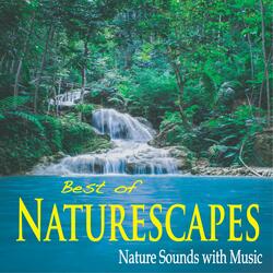 Ocean Waves Pianoscapes
