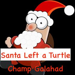 Santa Left a Turtle