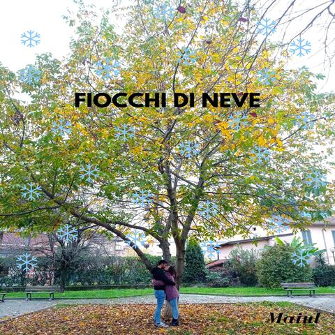 Fiocchi di neve