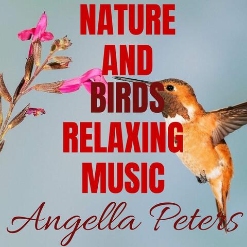 Nature And Birds Relaxing Music